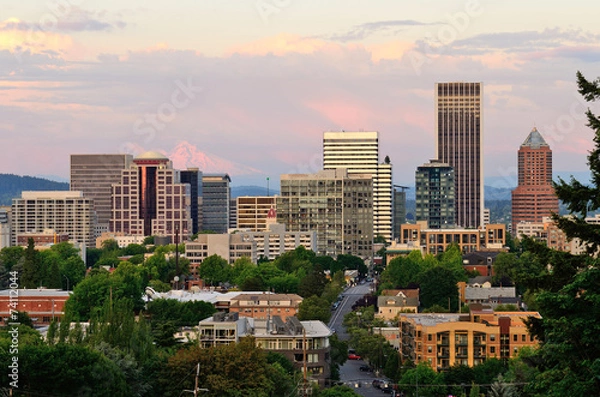 Obraz Portland Vista