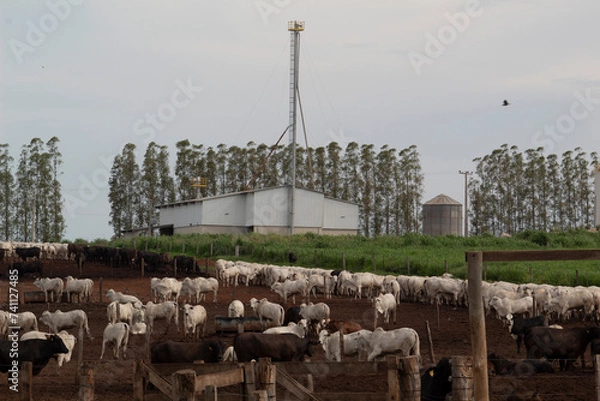 Obraz Confinamento 2