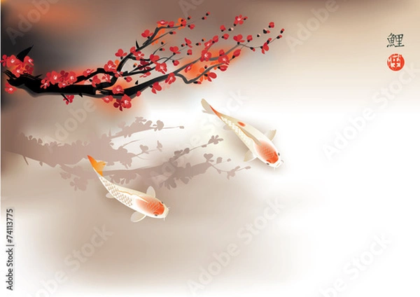 Fototapeta Koi carp