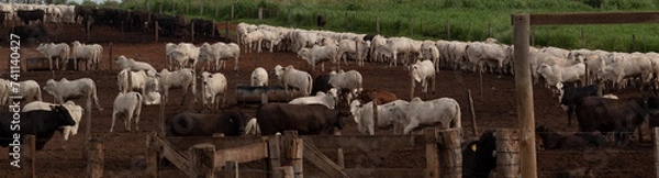 Obraz Confinamento 2