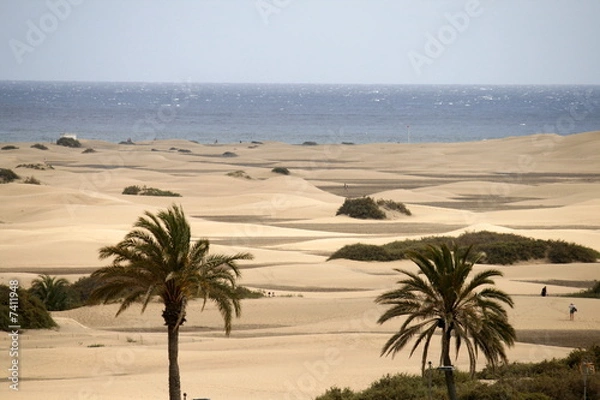 Obraz Playa del Inglés