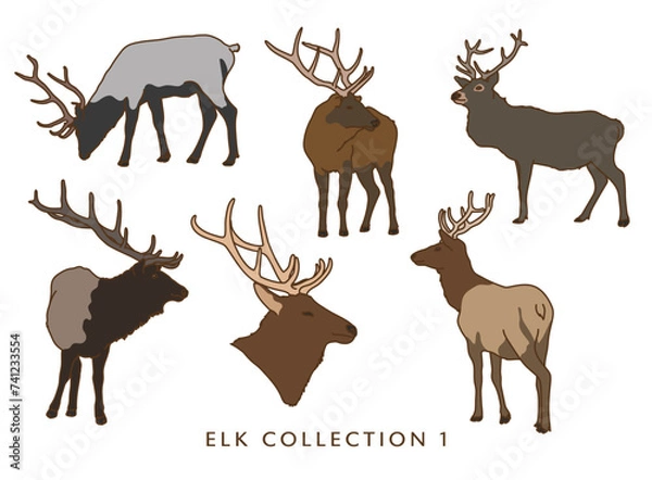 Fototapeta Elk Illustration Set (Different Poses) - In Color!