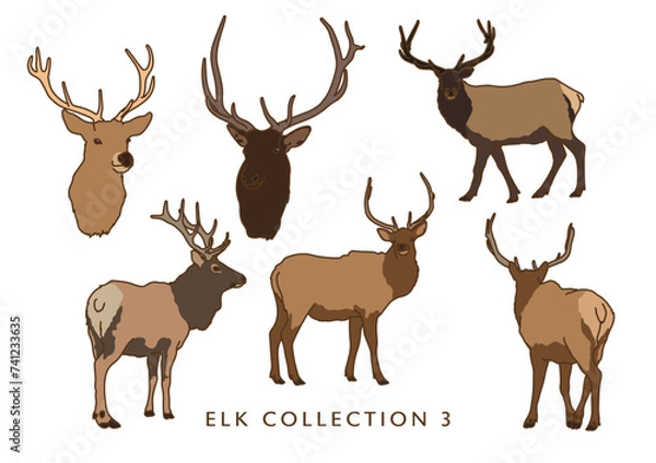 Fototapeta Elk Illustration Set (Different Poses) - In Color!