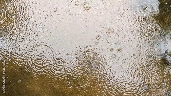 Obraz Rain, a puddle with raindrops on the surface