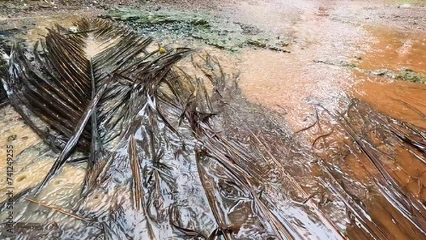 Obraz Tropical rain. A blurred road in mud and water