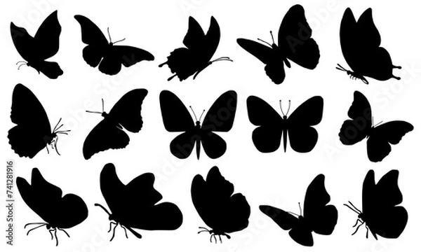 Fototapeta A Collection of Hand Drawn Butterfly Silhouettes