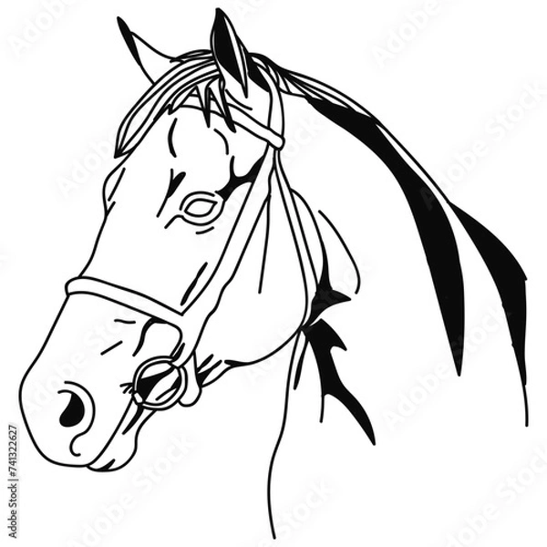 Obraz horse head vector