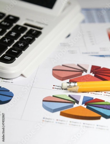 Obraz Business charts