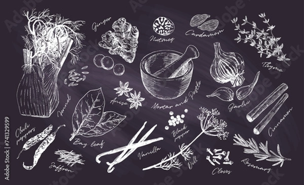 Obraz Hand drawn collection of popular herbs and spices. Culinary poster for cookbook and kitchen decor. Black chalk board drawings. Vintage etching style
