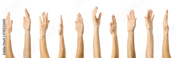Fototapeta Raised hand. Multiple images set of female caucasian hand with french manicure showing Raised hand gesture