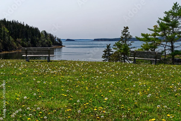 Obraz Küstenlandschaft in Kanada