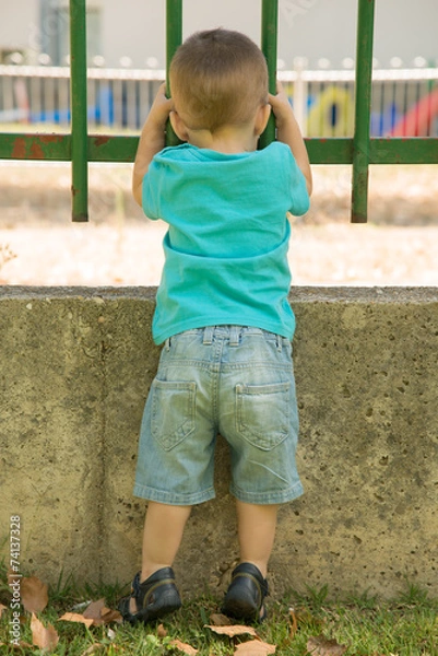 Obraz looking through the fence