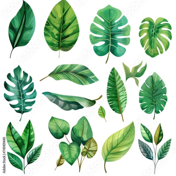 Fototapeta set of soft watercolor minimalist of Tropical leaves. tropical leaves such as palm fronds, banana leaves, and Monstera leaves