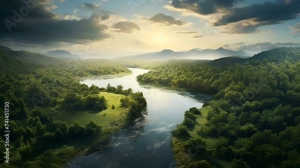 Fototapeta Aerial View of Forest - Digital Art Illustration

