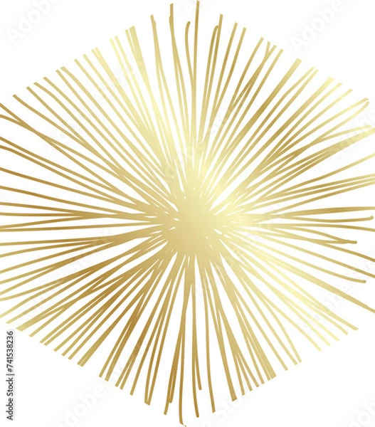 Fototapeta Geometric line pattern gold color