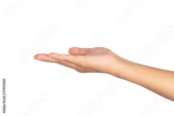 Obraz Hand on white background