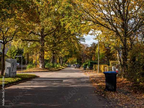 Fototapeta Colorful Fall in Langenhorn 