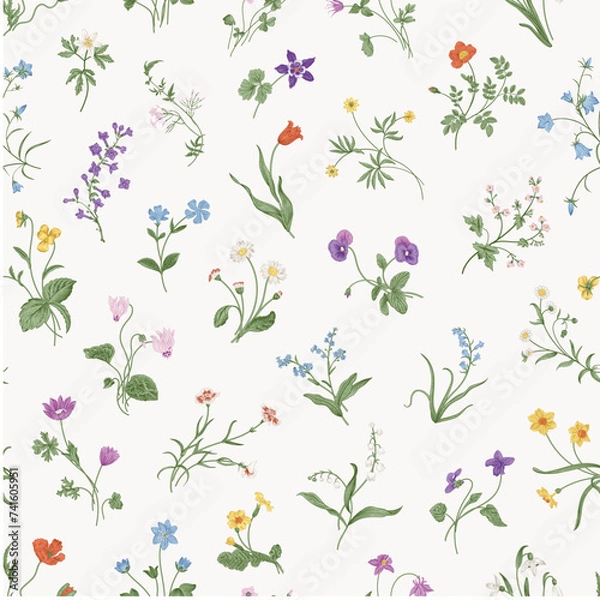 Obraz Gentle botany. Spring flowers. Seamless pattern. Vintage vector floral illustration. Colorful