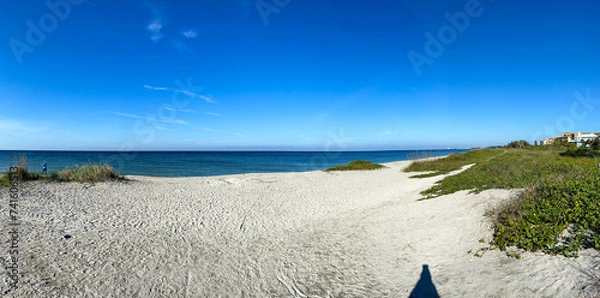 Obraz Desolate Turtle Beach on Florida's Gulf of Mexico coast