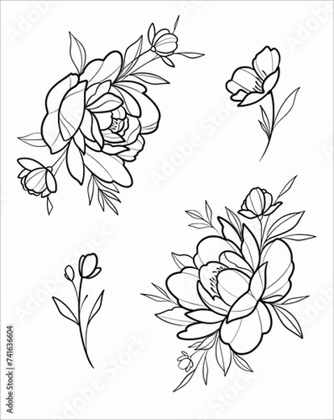 Fototapeta hand drawn peony flower Vector SVG linework