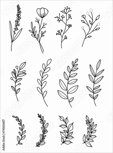 Fototapeta Flower stems and leaves bunch Vector SVG outline