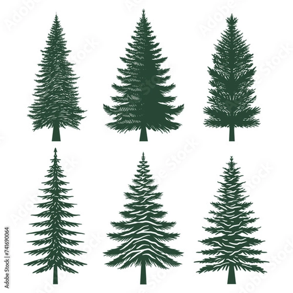 Obraz Pine tree silhouette set collection