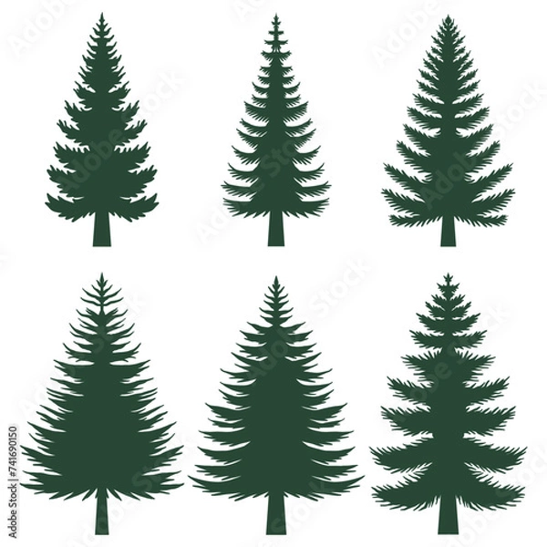 Obraz Pine tree silhouette set collection