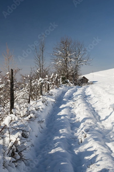 Fototapeta winter landscape