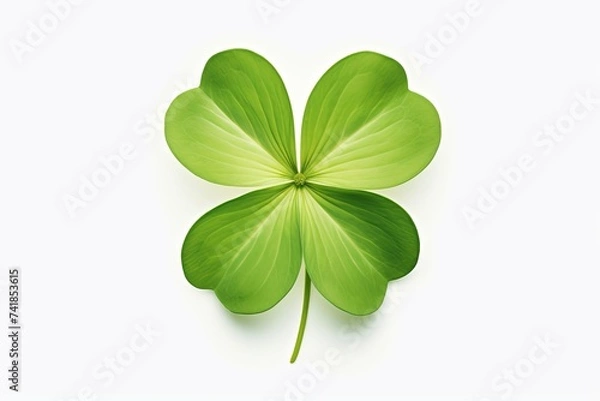 Fototapeta Green clover leaf isolated on white background