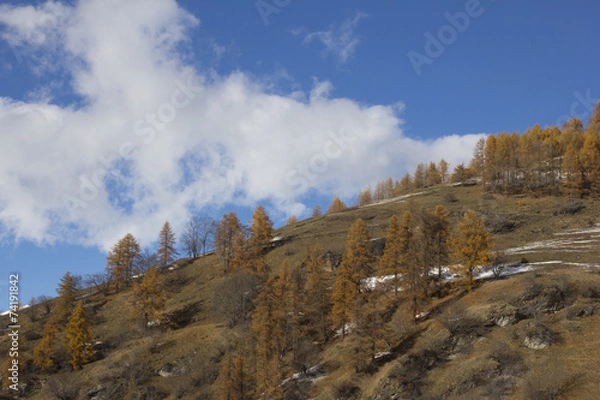 Obraz alta valle Maira