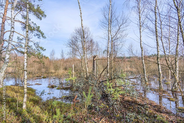 Obraz Wiosenne roztopy