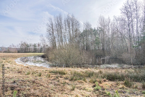 Obraz Wiosenne roztopy