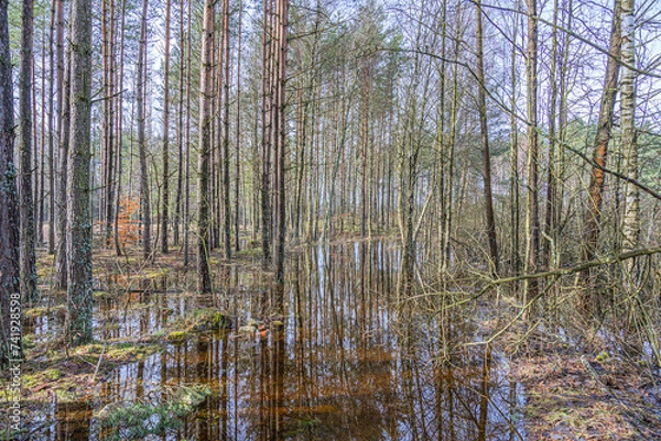 Obraz Wiosenne roztopy