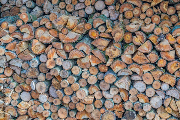 Obraz Drewno opałowe.