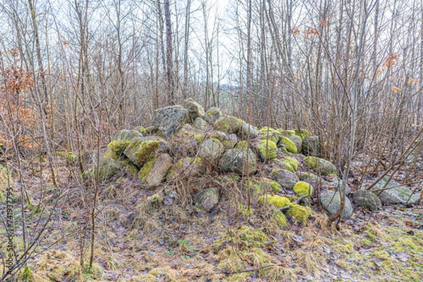 Obraz Polne kamienie