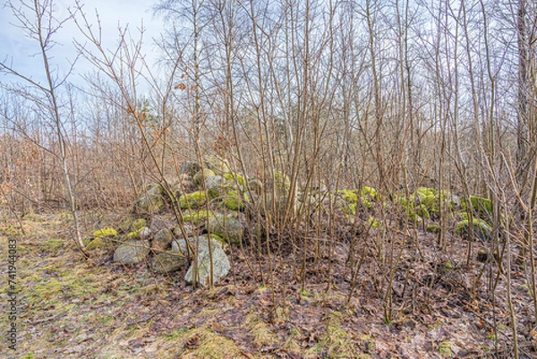 Obraz Polne kamienie