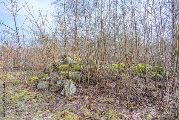 Obraz Polne kamienie