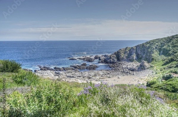 Fototapeta punta de tralca