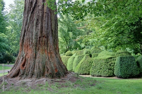 Obraz jardin anglais