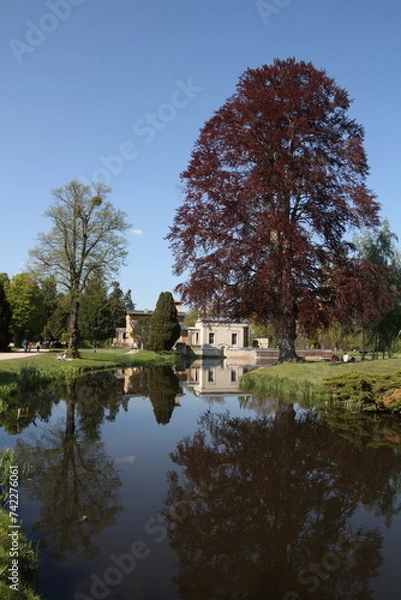 Obraz The house appeared inverted, with its towering peaks and elegant architecture reflected flawlessly in the tranquil puddle.
