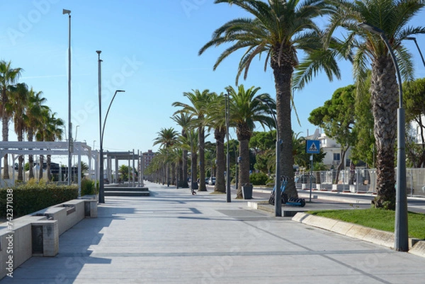 Obraz The promenade in the southern city, palm trees