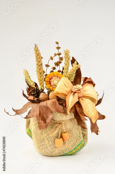 Obraz Dry plants arrangement