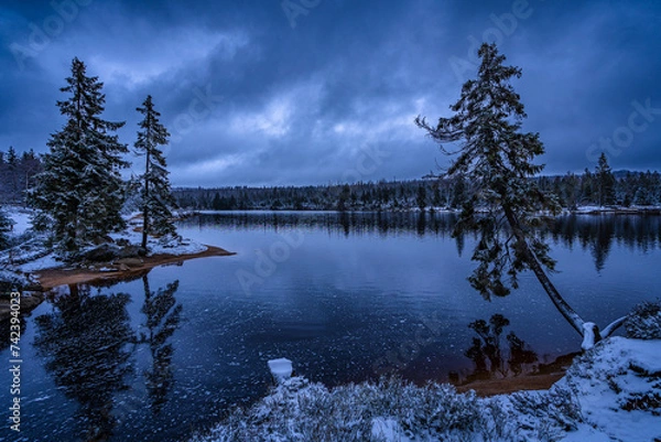 Fototapeta Winter am Oderteich