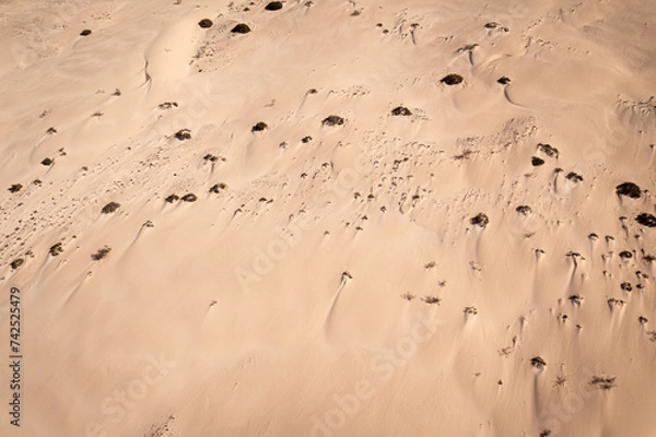 Fototapeta Sandwüste mit Sträuchern