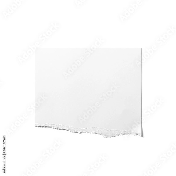 Fototapeta Torn Paper Sheet