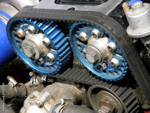 Obraz courroie de distribution