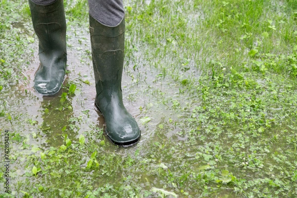 Fototapeta The person walks on water. Legs in wellies or gumboots. The garden is flooded. Consequences of downpour, flood. Springtime
