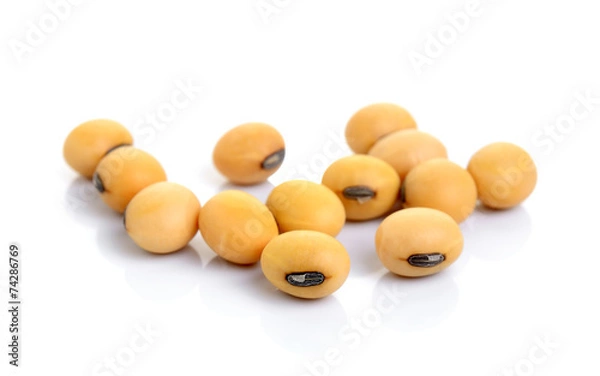 Obraz soy beans on white background