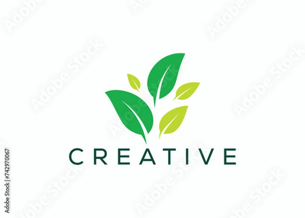 Obraz Creative and minimal abstract leaf logo vector template. Green leaf logo 