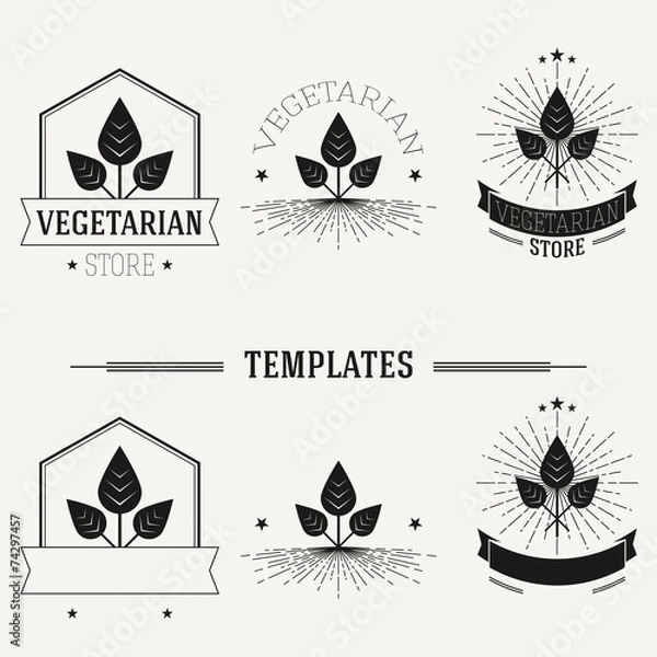 Obraz Vintage insignias and logotypes set.